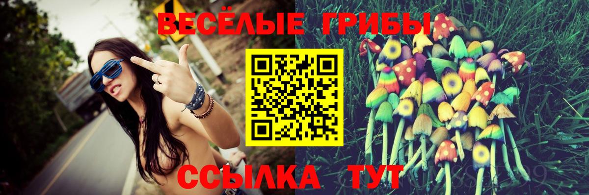 Сегежа  Галлюциногенные грибы мухоморы  Вход с VPN  хочу   Галлюциногенные грибы Psilocybine cubensis 